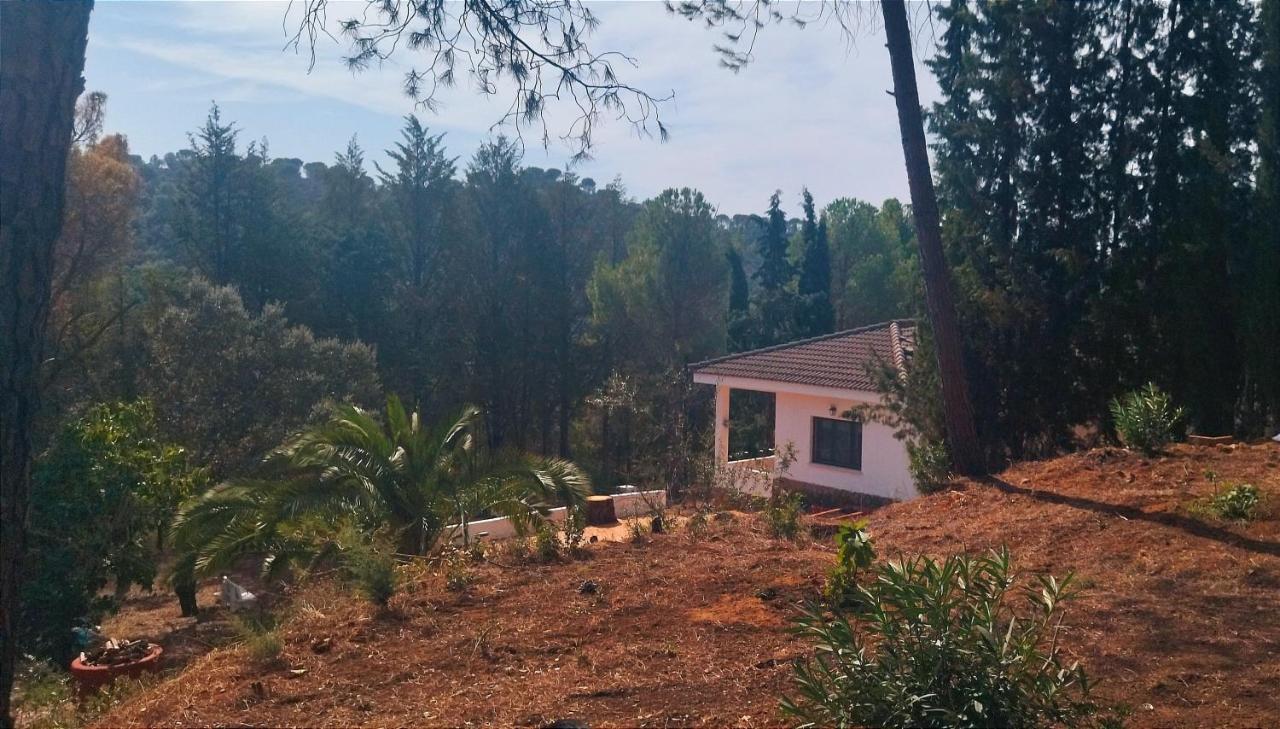 Bonita Casa Blanca En El Bosque. Villa Cordoba Dış mekan fotoğraf