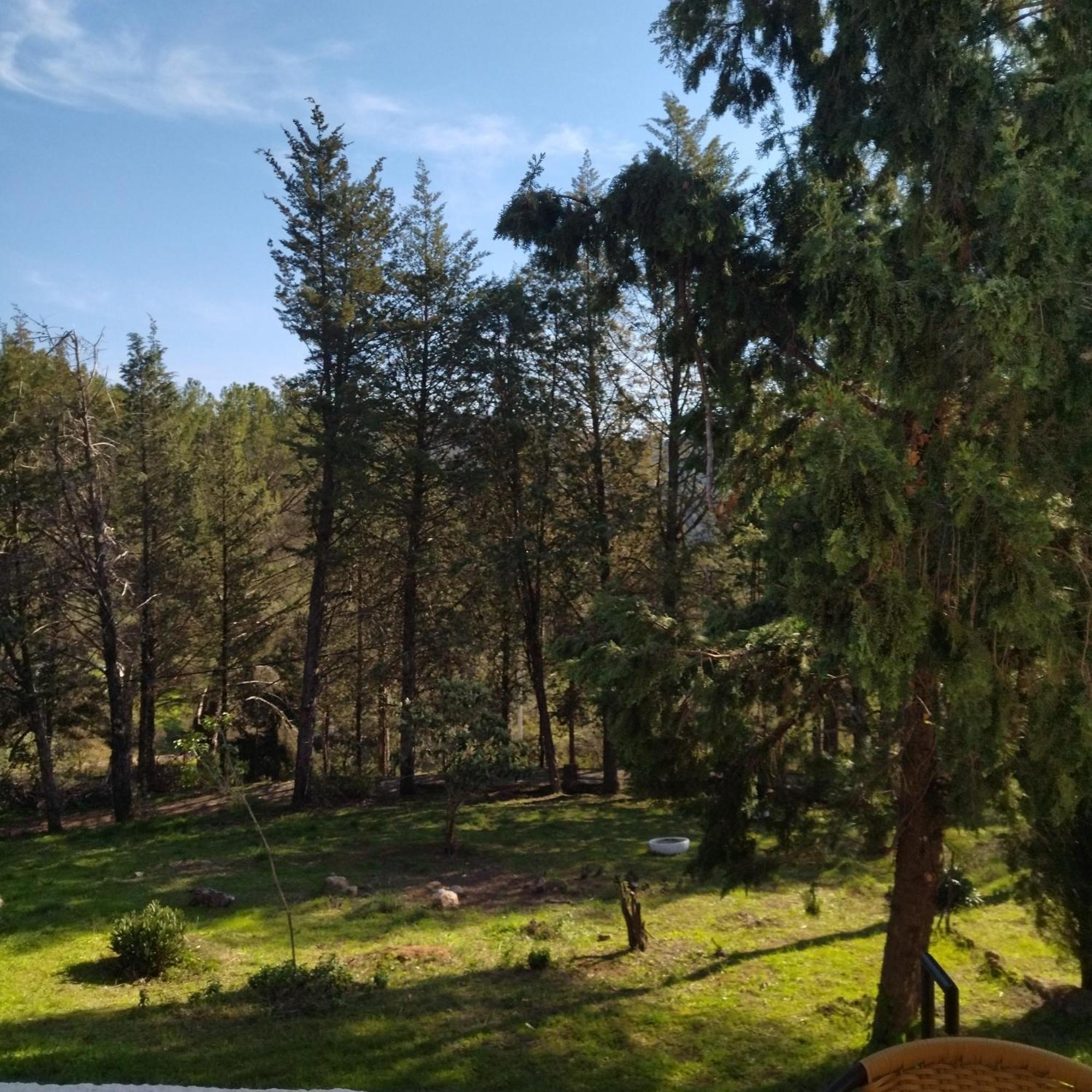 Bonita Casa Blanca En El Bosque. Villa Cordoba Dış mekan fotoğraf