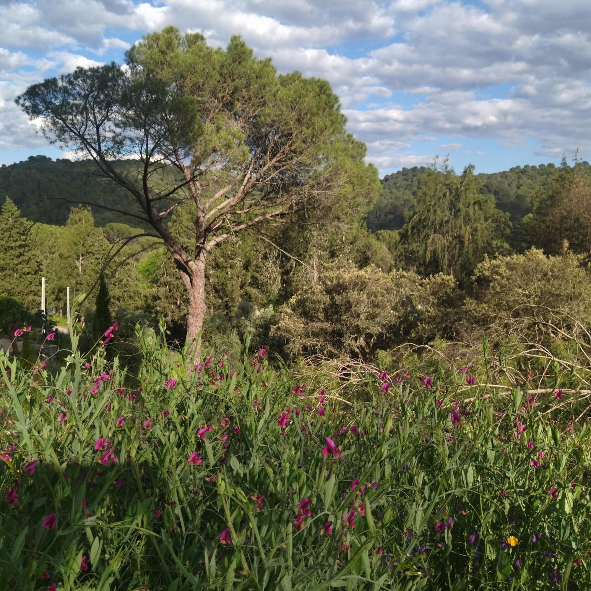 Bonita Casa Blanca En El Bosque. Villa Cordoba Dış mekan fotoğraf